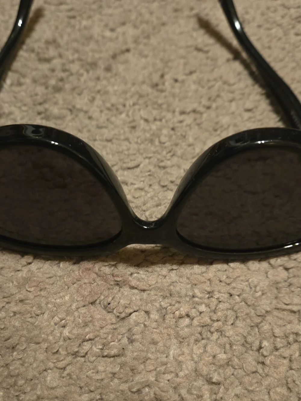 Balenciaga sleek cat